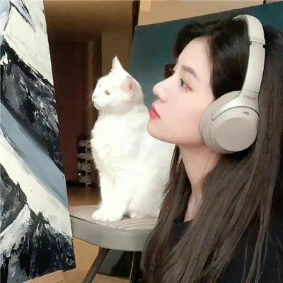 春风不渡相思劫